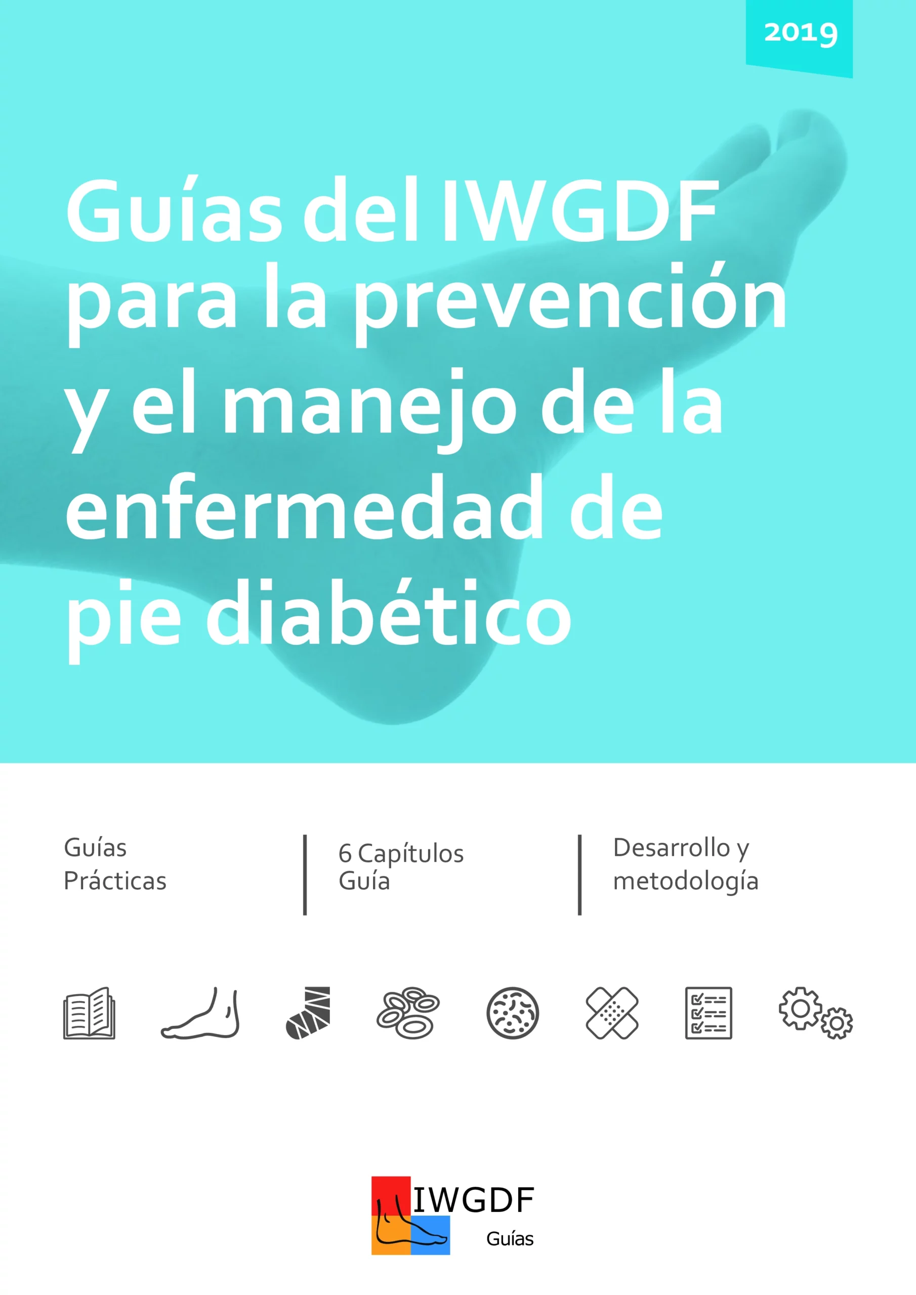 guias para la prevencion y el manejo de enfermedad pie diabetico